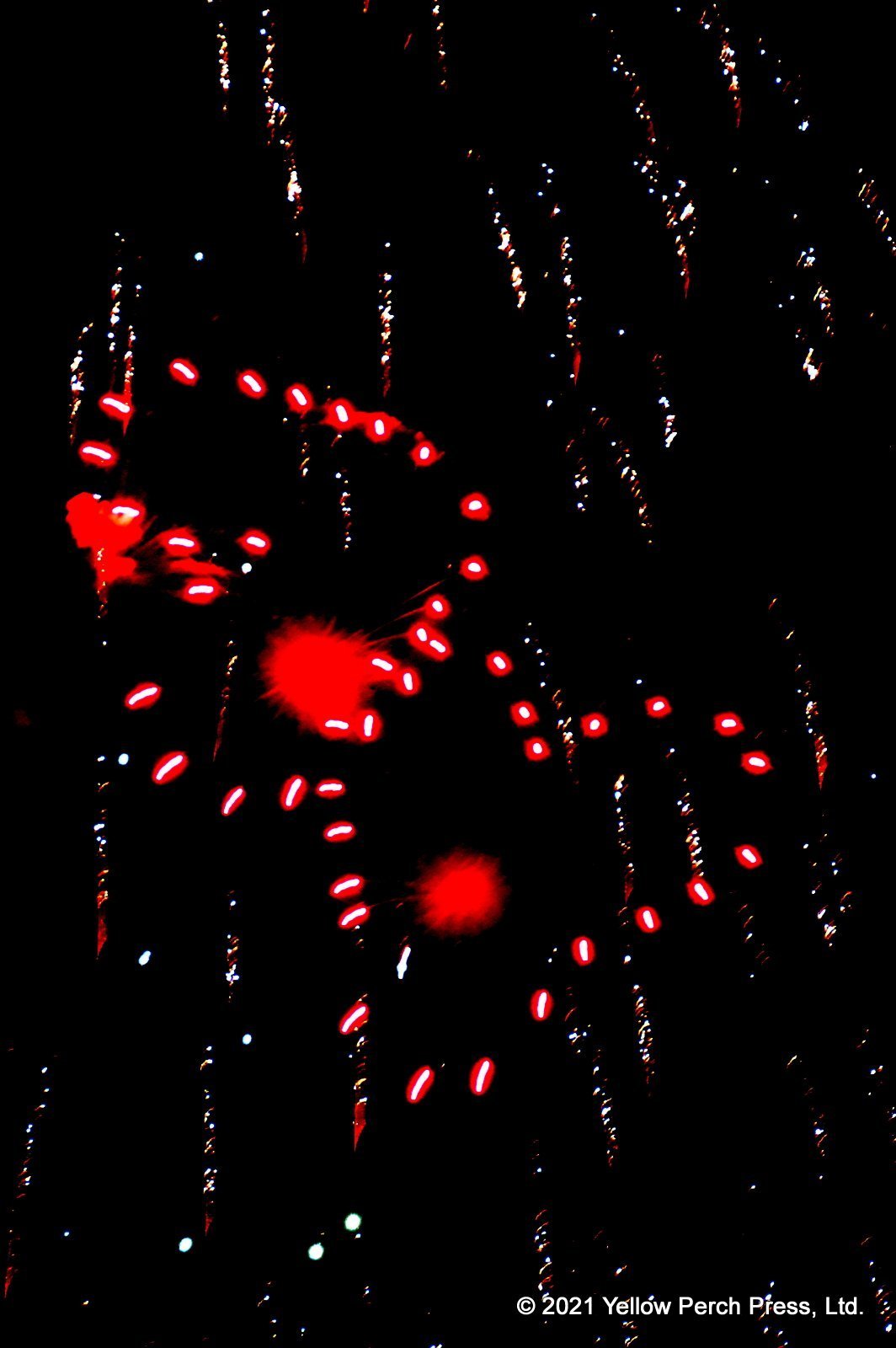 Put in Bay Independence DAy